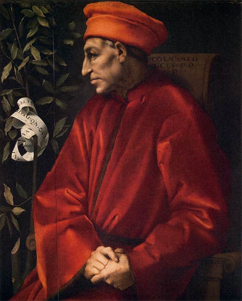 Cosimo il Vecchio de’ Medici, posthumous portrait by Jacopo Pontormo, ca 1520, Uffizi, Florence (Web Gallery of Art)