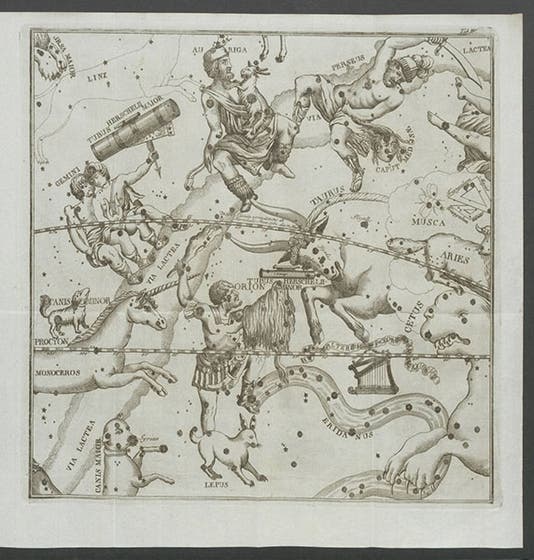 Star map of the region of the night sky around Taurus, showing three new proposed constellations, from Maximilian Hell, <i>Monumenta</i>, 1789 (Linda Hall Library)