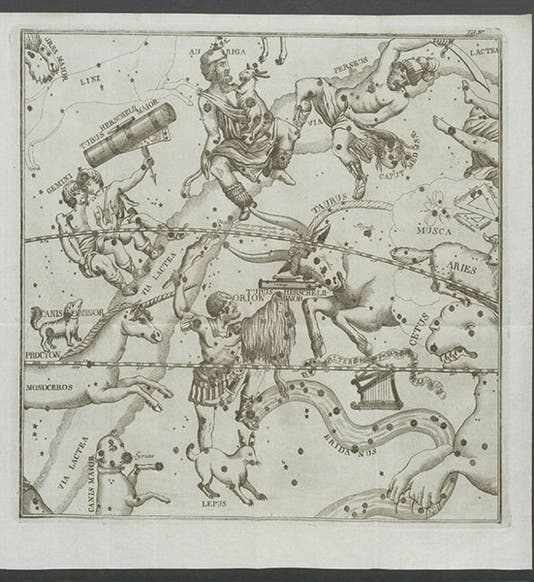 Star map of the region of the night sky around Taurus, showing three new proposed constellations, from Maximilian Hell, <i>Monumenta</i>, 1789 (Linda Hall Library)