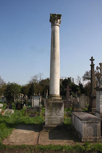 Memorial column for Thomas Hancock, Kensal Green Cemetery, London (findagrave.com)