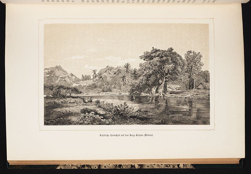 View of Tahiti, etching and aquatint, from Reise der Novara, 1861 (Linda Hall Library)