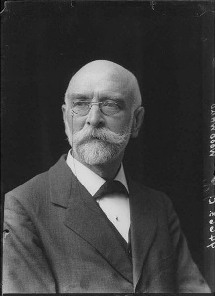 Portrait of an older Arthur Smith Woodward, photograph, 1918 (npg.org.uk)
