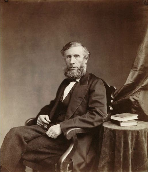 Portrait of John Tyndall, X-Club member, photograph, 1873, National Portrait Gallery (npg.org.uk)