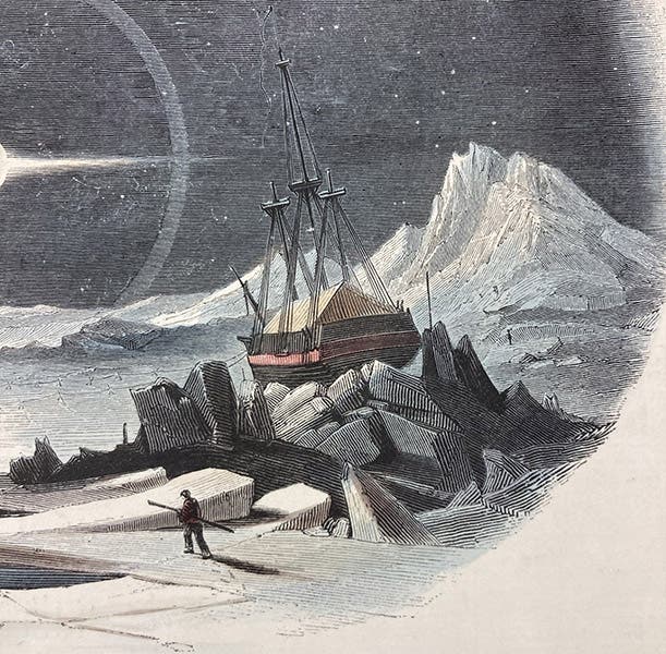 Detail of fourth image, showing details of wood-engraving technique of Josiah Wood Whymper, [Natural Phenomena], plate 2, 1846 (Linda Hall Library)