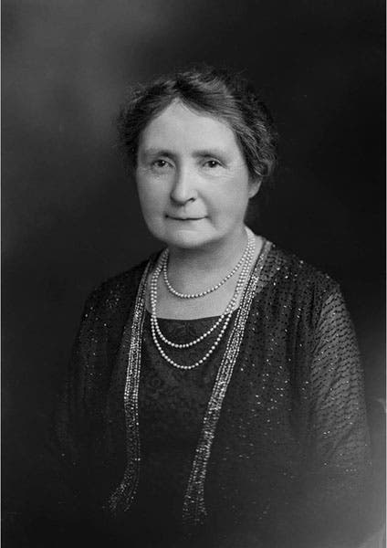 Portrait of Mary Proctor, age 70, photograph, 1932, National Portrait Gallery, London (npg.org.uk)