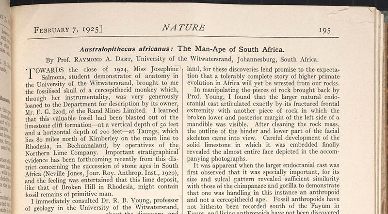 Detail of opening paragraph, “Australopithcus africanus: The man-ape of South Africa,” by Raymond Dart, Nature, vol. 115, Feb. 7, 1925 (Linda Hall Library)