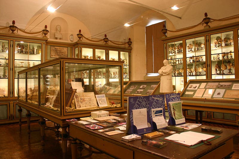 Sala Golgi, room devoted to memorabilia of Camillo Golgi, University of Pavia History Museum, Pavia, Italy (Museo per la Storia dell'Università, Pavia)