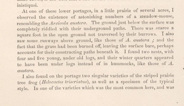 A segment from Robert Kennicott’s journal, describing field mice burrows, as printed in Transactions of the Chicago Academy of Sciences, vol. 1, page 160, 1867-69 (Linda Hall Library)