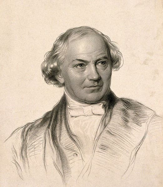 Portrait of William Whewell, who coined the word scientist in 1834, stipple engraving, undated, Wellcome Collection, London (wellcomecollection.org)