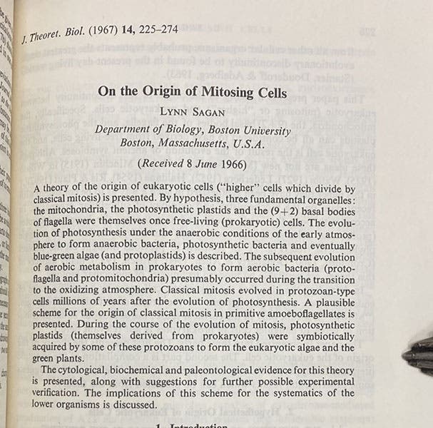 First paragraph of the first major paper of Lynn Sagan (now Margulis), "On the origin of mitosing cells," Journal of Theoretical Biology, vol. 14, p. 225, 1967 (Linda Hall Library)