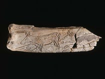 The “Hinds of Chaffaud,” a carved reindeer femur found in Chaffaud cave in Savigne in the commune of Vienne, France, before 1852, now acknowledged as the first discovered piece of paleolithic art, now in the Musée 