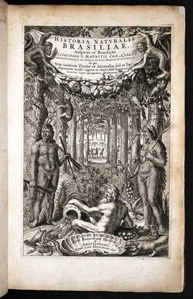 Engraved title page to Historia naturalis Brasiliae, ed. by Johannes De Laet, 1648 (Linda Hall Library)