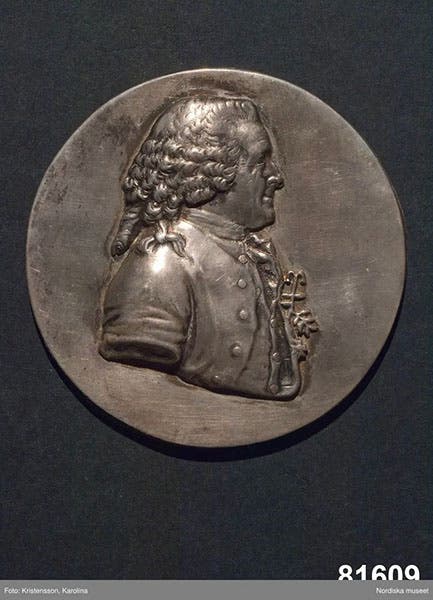 Portrait medal of Carl Linnaeus, Nordic Museum, Stockholm (digitaltmuseum.se)