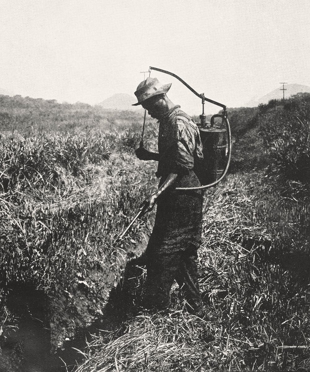 Worker sprays larvacide in ditches.View in Digital Collection »
