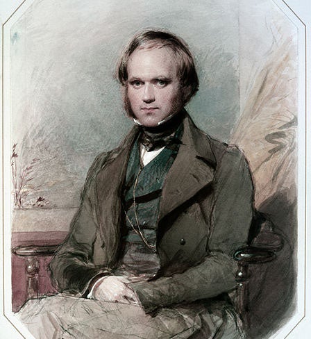 Charles Darwin, wedding portrait by George Richmond, chalk and watercolor, 1840 (Wikipedia)