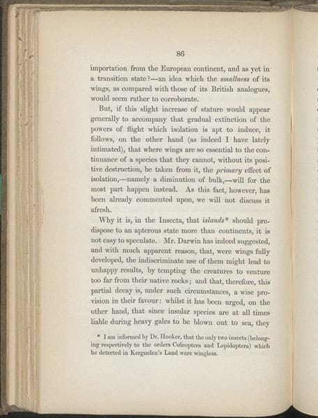 Another page discussing Charles Darwin’s explanation of flightless beetles, T. Vernon Wollaston, On the Variation of Species, 1856 (Linda Hall Library)