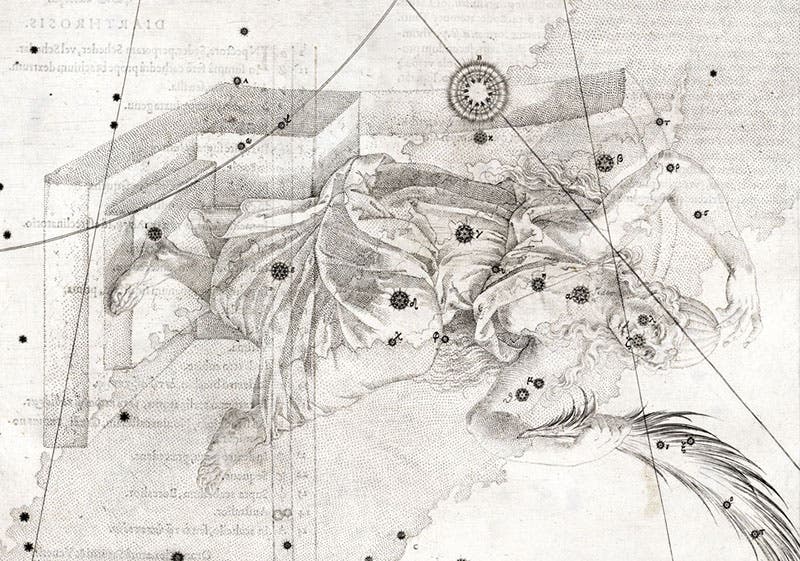 Detail of the star map of the constellation Cassiopeia, Johann Bayer, Uranometria, plate 10, 1603; the large symbol at top center marks the position of Tycho Brahe’s new star of 1572 (Linda Hall Library)
