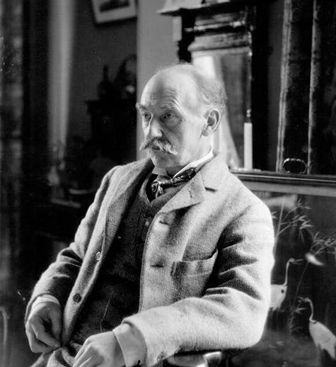 Portrait of Thomas Hardy, photograph by Clive Holland, 1900s (npg.org.uk)