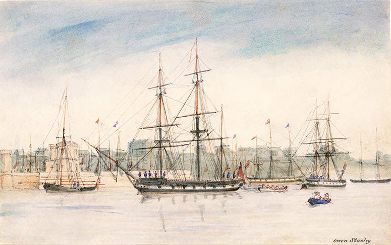 HMS Beagle, watercolor by Owen Stanley, 1841, National Maritime Museum, Greenwich (rmg.co.uk)