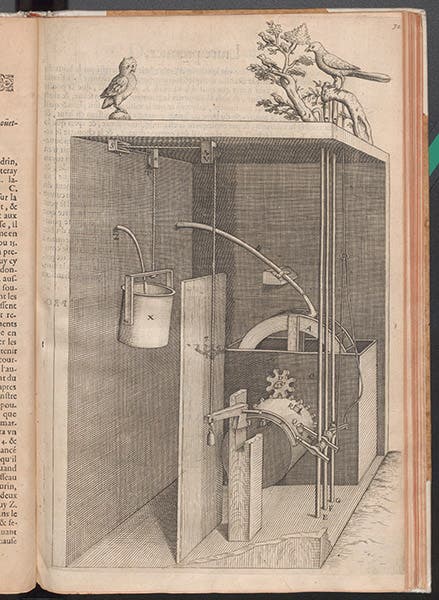 Hydraulic singing bird, engraving, Salomon de Caus, Les raisons des forces mouvantes, 1615 (Linda Hall Library)