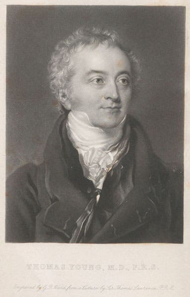 Portrait of Thomas Young, engraved frontispiece after a painting by Thomas Lawrence, Life of Thomas Young, by George Peacock, 1855 (Linda Hall Library)