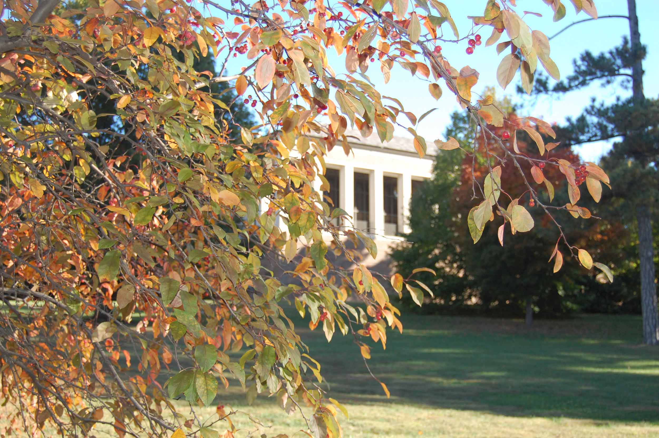 Linda Hall Library arboretum in the fall