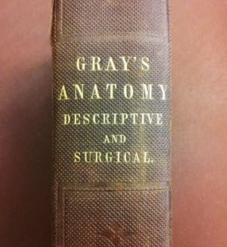 Spine of the copy of the first edition of Gray’s Anatomy, 1858, in the Library of the Royal College of Surgeons, London (rcseng.ac.uk)