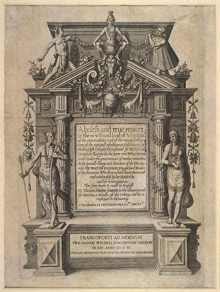 Engraved title page, by Theodor de Bry, for Thomas Harriot, A Briefe and True Report of the new found land of Virginia, 1590 (recipes.hypotheses.org)