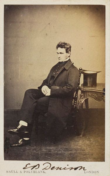 Portrait of Edward Beckett Denison, carte de visite, 1860-65, National Portrait Gallery, London (npg.org.uk)