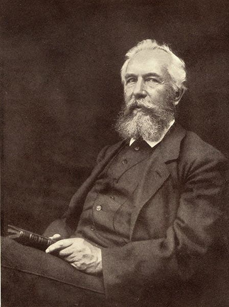 Portrait of Ernst Haeckel, 1896 (Wikimedia commons)