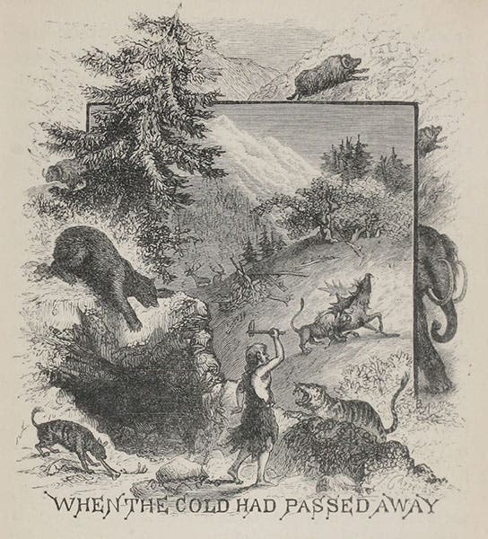 Headpiece to chapter 12, “When the Cold Had Passed Away,” detail of wood engraving by Theo Carreras, Winners in Life's Race, or the Great Backboned Family, by Arabella Buckley, 1882 (Linda Hall Library)