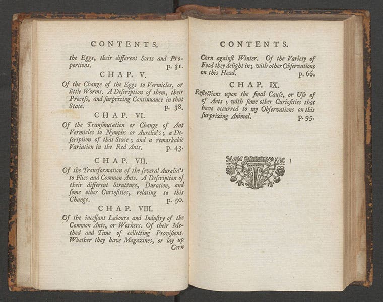 Table of contents, 2nd and 3rd pages, An Account of English Ants, by William Gould, 1747 (Linda Hall Library)