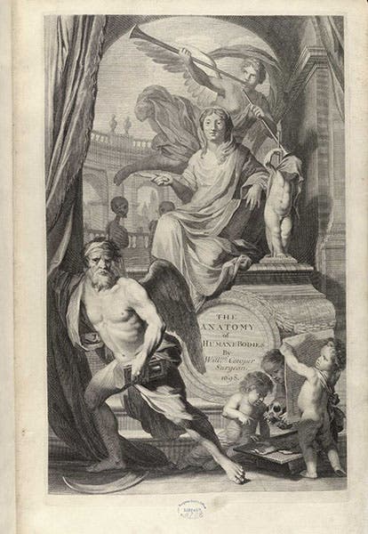 Engraved title page, in Anatomy of Humane Bodies, by Willam Cowper, 1698, National Library of Medicine (collections.nlm.nih.gov)
