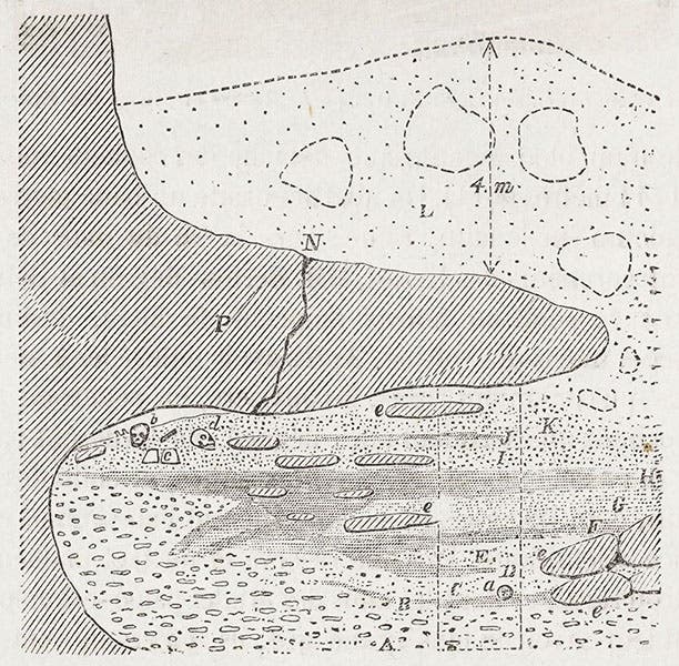 Diagram of the Cro-Magnon rock shelter at Les Eyzies; the skulls at “b” and “d” mark the location of the skeletons, “Memoire sur une sepultre des anciens troglodytes de Perigord," by Louis Lartet, Annales des sciences naturelles, 5th ser., Zoologie et Paleontologie, 1868, vol. 10, p. 138, 1868 (Linda Hall Library)