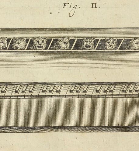 The first image of a cat piano, detail of third image, from Magia universalis, by Gaspar Schott, vol. 2, plate 24, p. 372, 1657-59 (Linda Hall Library)  
