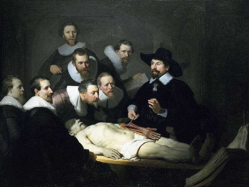 Anatomy lesson of Dr. Tulp, by Rembrandt, 1632 (Wikipedia)