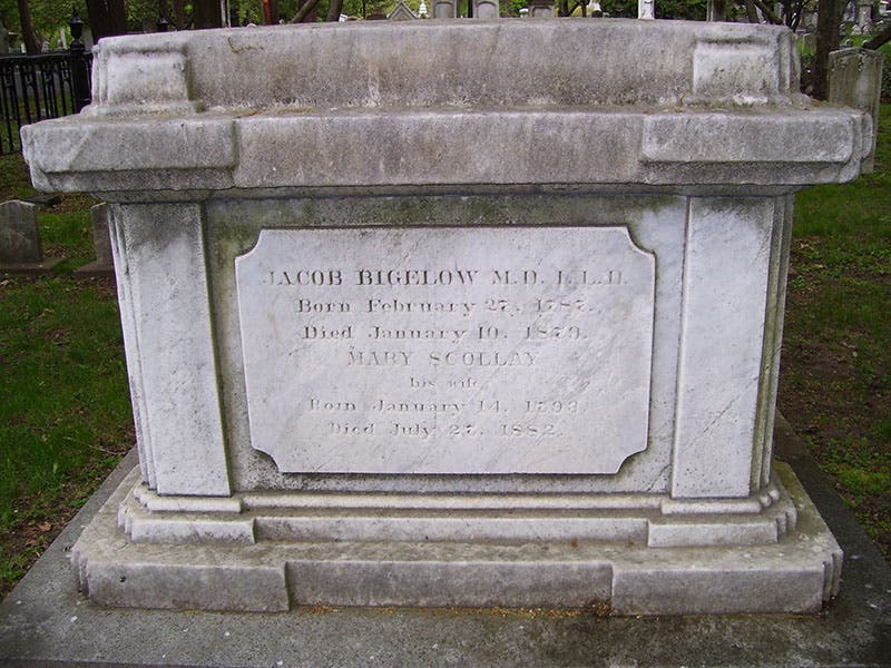 Gravestone of Jacob Bigelow, Mount Auburn Cemetery (Wikimedia Commons)