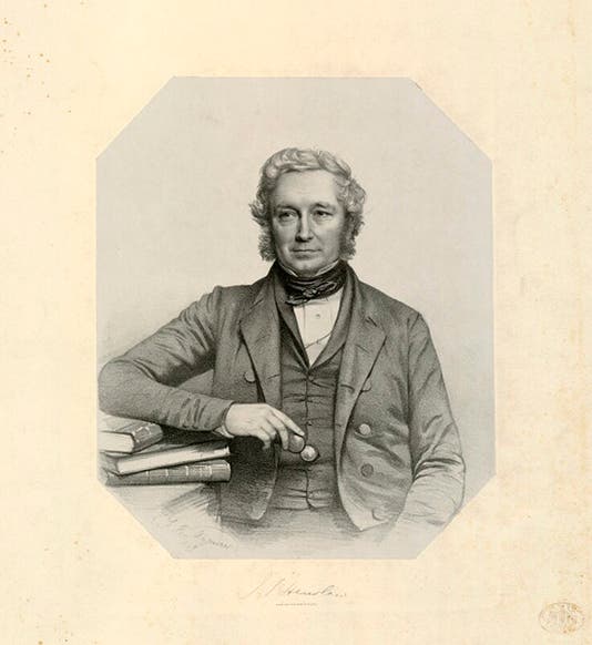 Portrait of John Stevens Henslow, lithograph by Thomas Maguire, 1849, National Portrait Gallery, London (npg.org.uk)