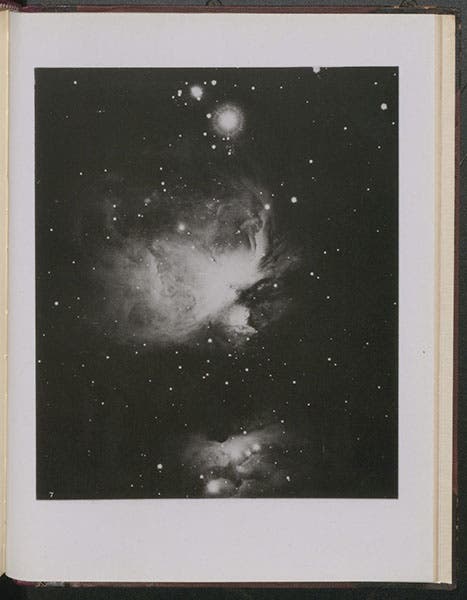 The Great Nebula in Orion, M41, collotype, photo taken Jan. 23, 1897, 40 min. exposure, in William E. Wilson, Astronomical and Physical Researches, 1900 (Linda Hall Library)