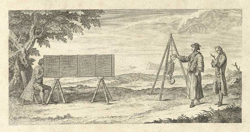 Title-page vignette, showing the use of a camera obscura in drawing the bones, engraving in Osteographia, or the Anatomy of the Bones, by William Cheselden, 1733, National Library of Medicine (nlm.nih.gov)