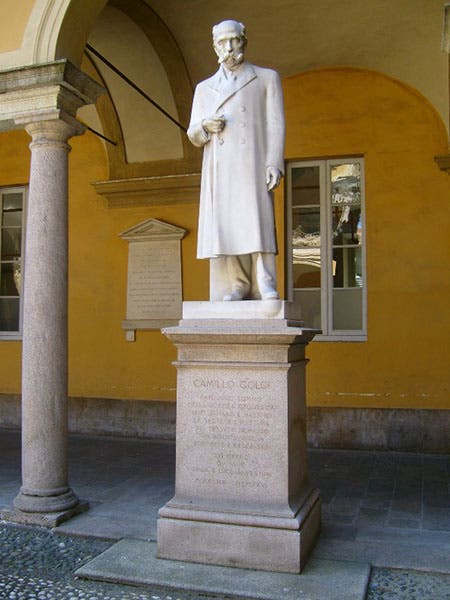 Statue of Camillo Golgi at the University of Pavia (Museo per la Storia dell'Università, Pavia)