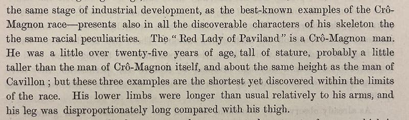Paragraph where William J. Sollas concludes that the Red Lady of Paviland was a Co-Magnon man, in his “Paviland Cave: An Aurignacian station in Wales,” by Journal of the Royal Anthropological Institute, vol. 43, p. 371, 1913 (Linda Hall Library)