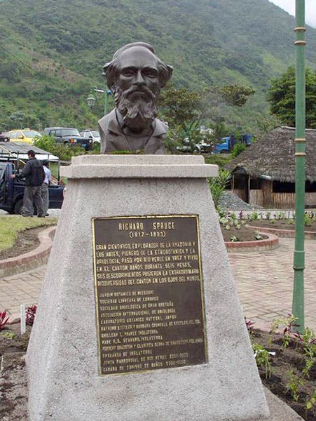 Bust of Richard Spruce unveiled in 2006 in central Ecuador (bryophytes.plant.siu.edu)