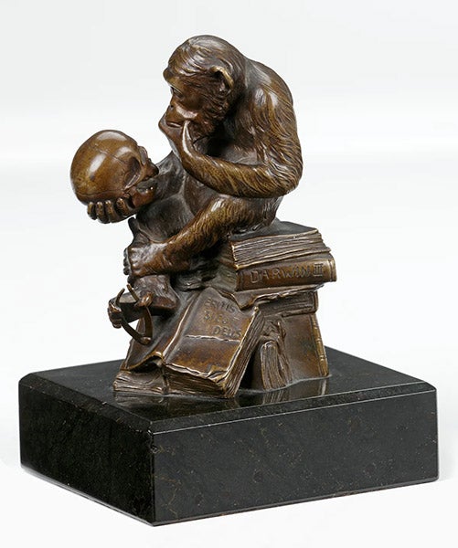 Affe mit Schädel, bronze sculpture by Hugo Rheinhold, 15-cm version, early 20th-century casting, offered by Zebregs & Röell, Amsterdam and Maastricht (zebregsroell.com)