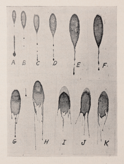 The effects of velocity on bloodstain patterns. This image shows blood dropped from a 5 degree angle at: A-3 inches, B-6 inches, C-9 inches, D-1 foot, E-1.5 feet, F-2 feet, G-3 feet, H-4 feet, I-4.5 feet, J-5 feet, and K-6 feet. Interpretation of bloodstain patterns, wrote Paul Kirk, is “often the greatest significance in determining not only the course of [criminal] events 