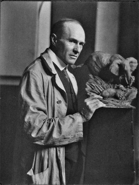 Portrait of Carl Akeley, undated photograph, Field Museum of Natural History (fieldmuseum.org)
