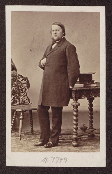 Portrait of Hermann Schaaffhausen, photograph, 1855 (Wikimedia commons)