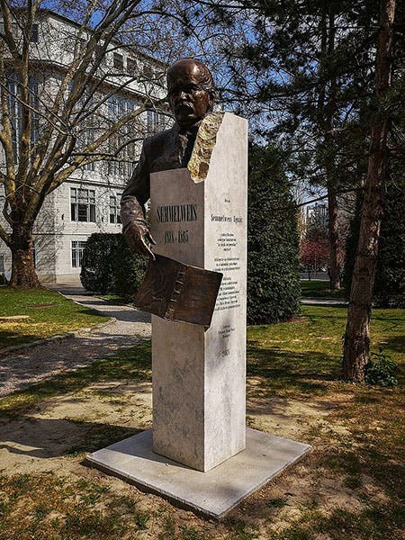 Statue of Ignaz Semmelweisz, Medical University of Vienna (Wikimedia commons)