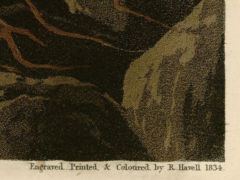 Detail of first image, Long-billed Curlew, showing the signatures of both Havells combined into one, and an additional glimpse of Havell’s aquatint technique (Wikimedia commons)