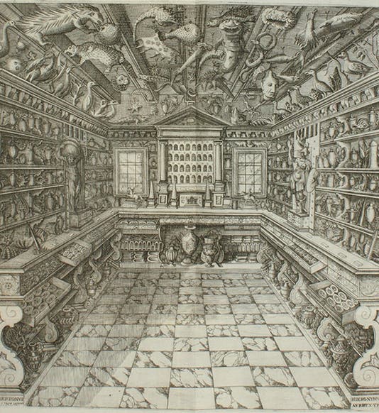 The museum of Francesco Calzolari, folded engraved frontispiece to Musaeum Franc. Calceolarii, by Benedicto Ceruto and Andrea Chiocco, 1622 (Linda Hall Library)